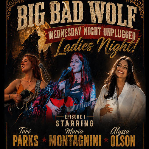 Ladies Night - Unplugged