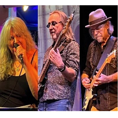 Bare Bones - Gallery Image 5