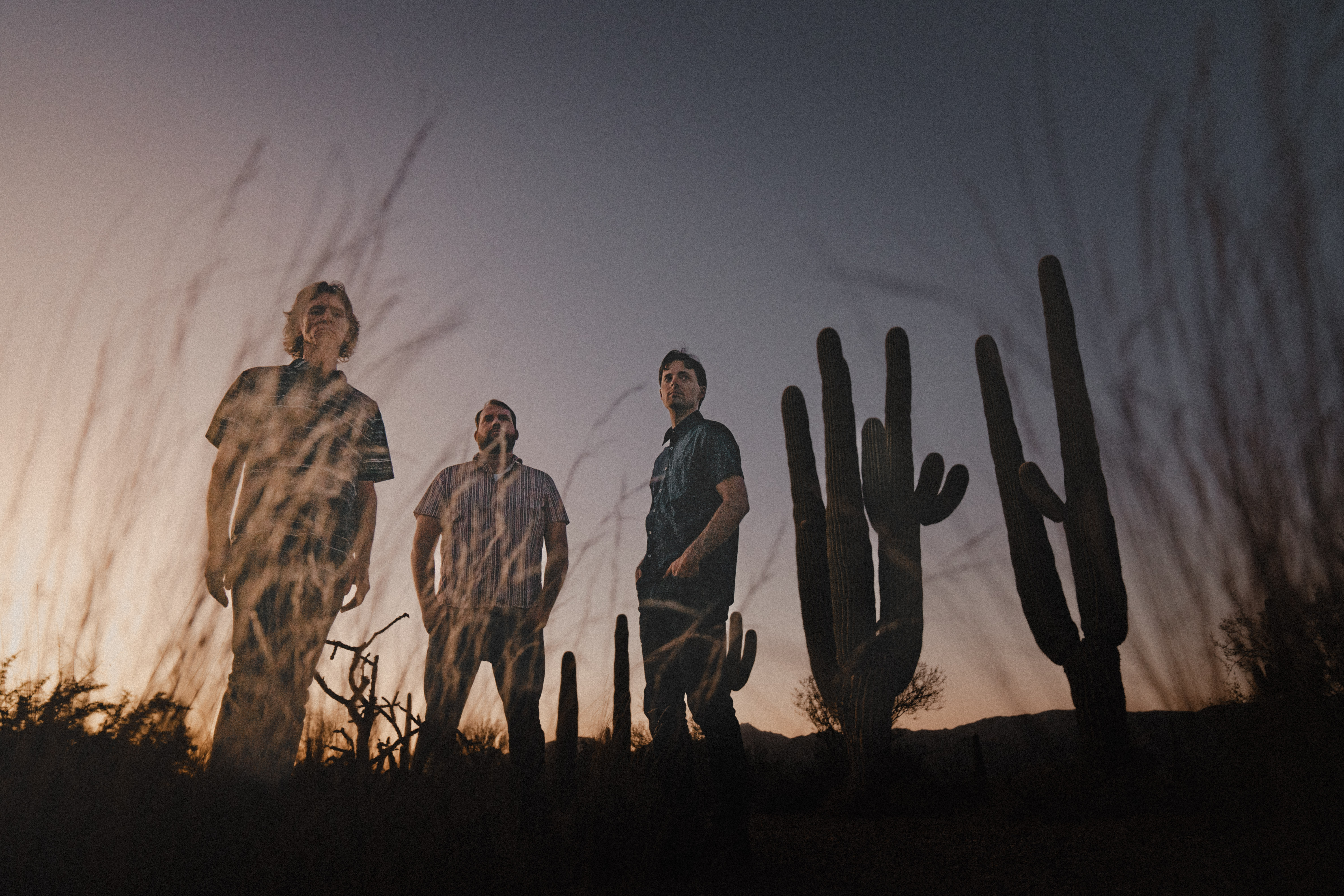 Desert Undertones - Gallery Image 3