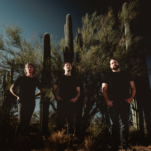 Desert Undertones - Gallery Image 1