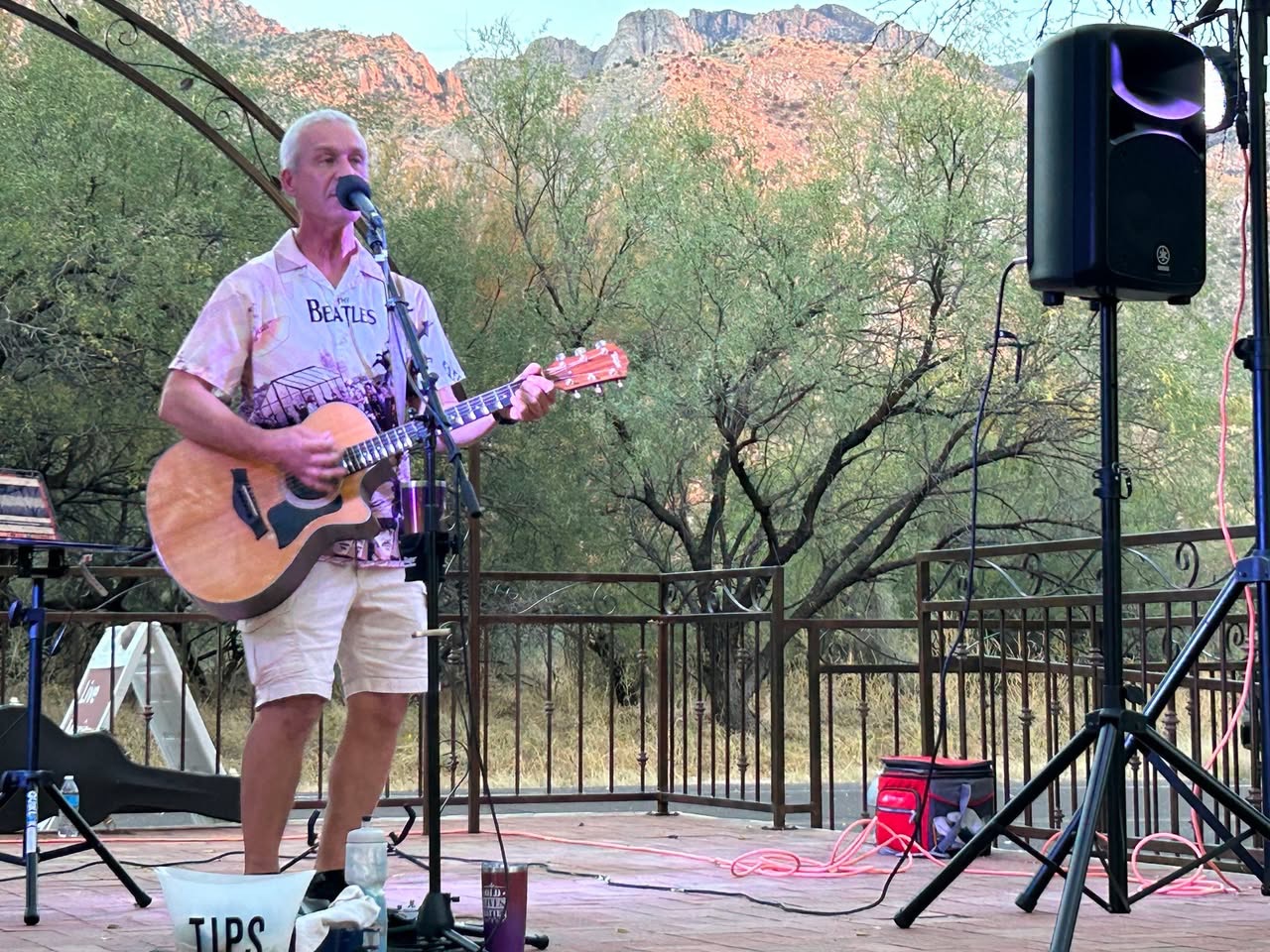 KT Klassics - Gallery Image 5