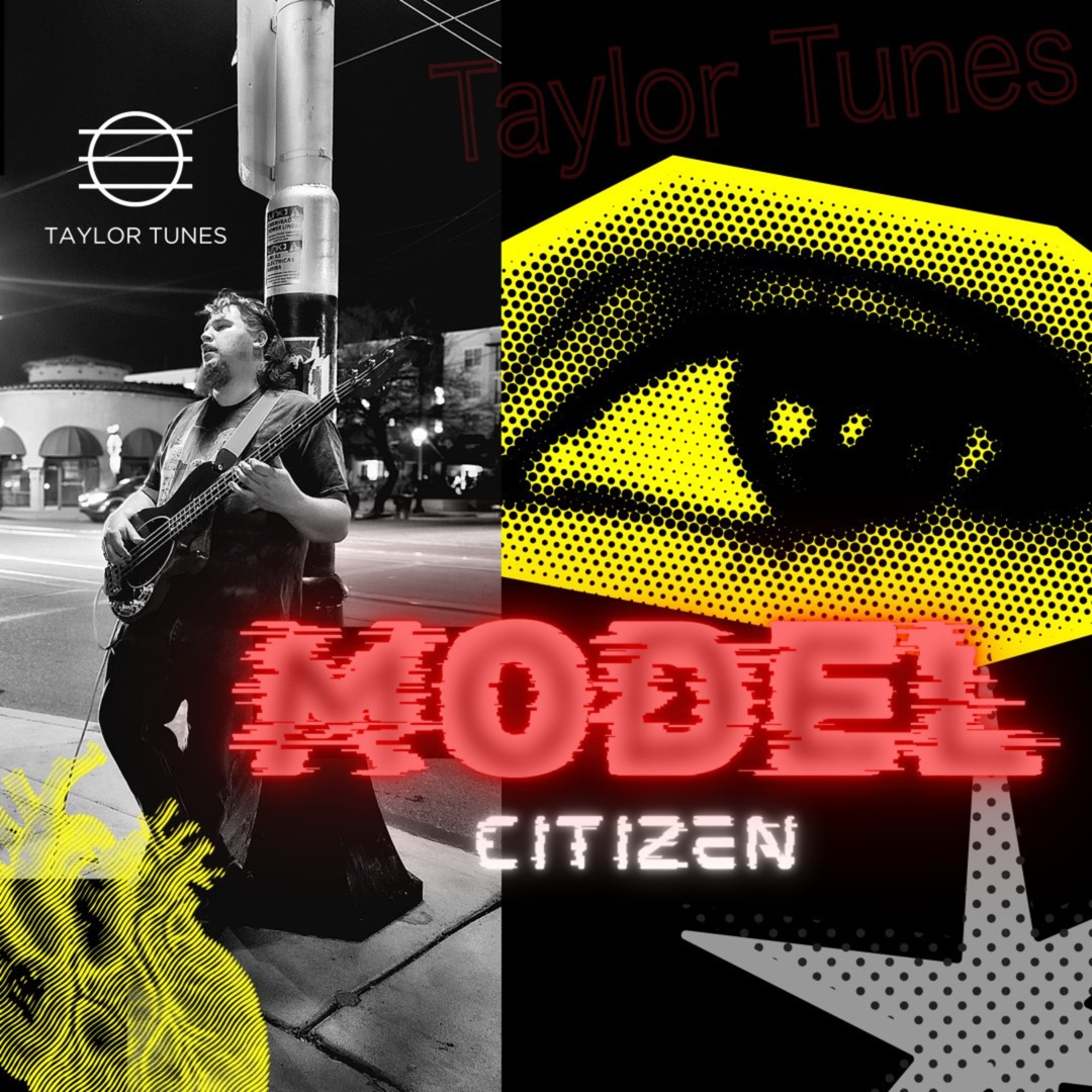 Taylor Tunes - Gallery Image 4