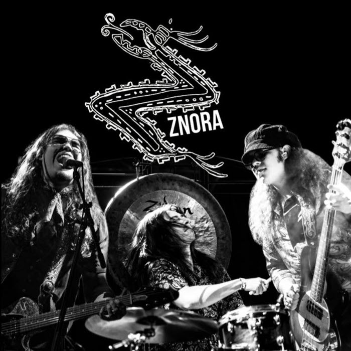 Znora - Gallery Image 4