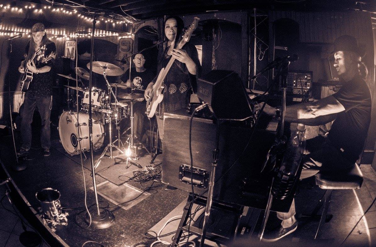 ORGANic Funk Alliance - Gallery Image 1